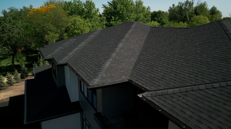 Best Roof Moss and Algae Removal  in Ellsworth, WI